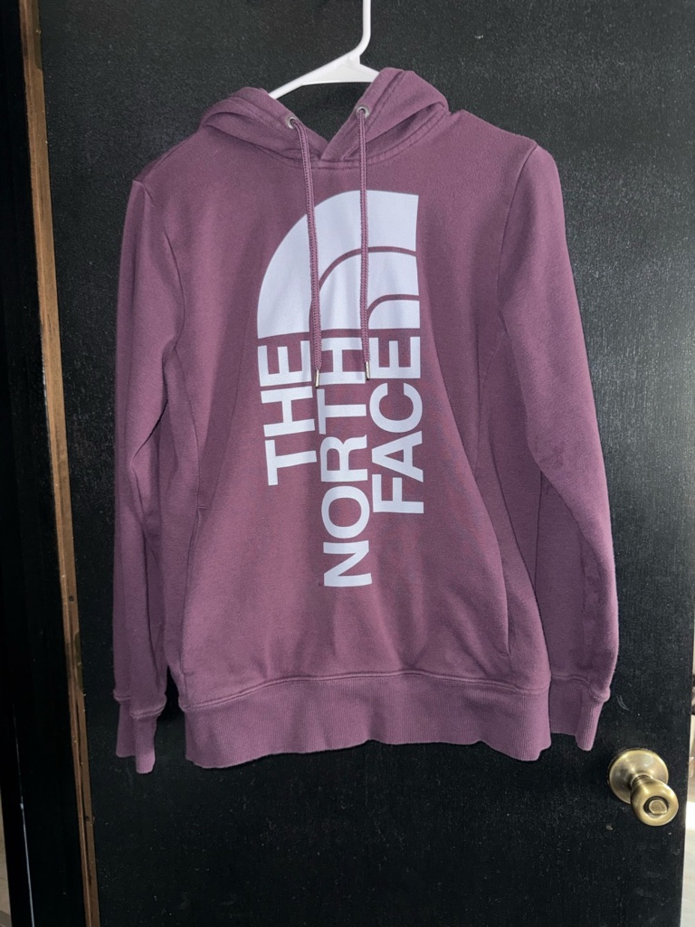 The North Face Plum Graphic Pullover Hoodie